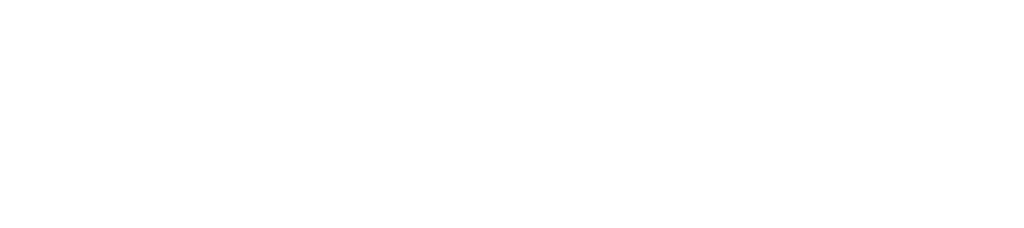 Solarwatt Premium Partner Logo White
